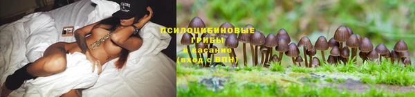 соль курить ск Абинск