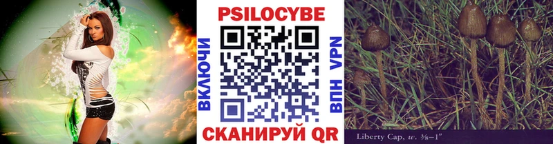 MEGA маркетплейс  наркошоп  Избербаш  Псилоцибиновые грибы Psilocybe 